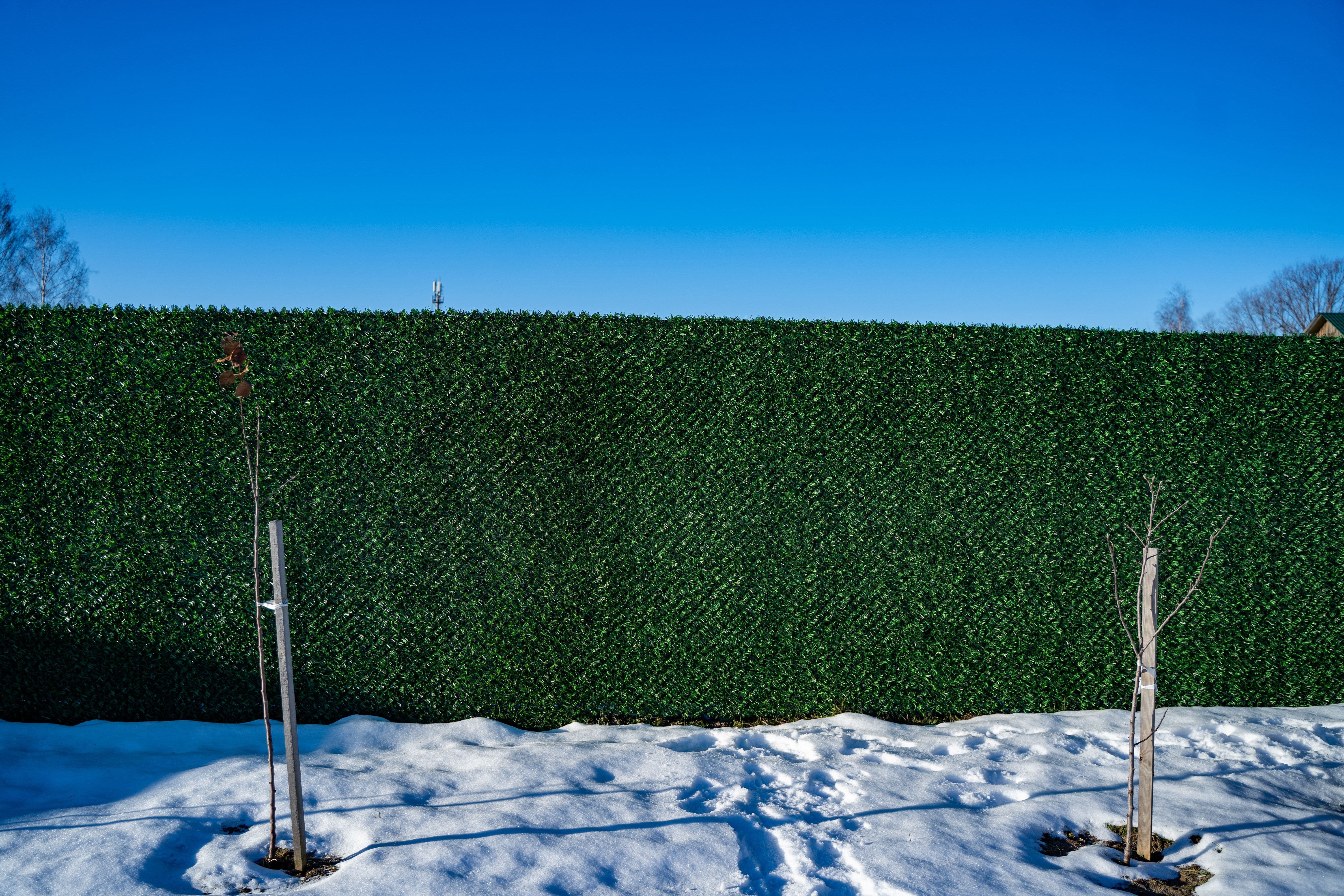 Вечнозеленый забор Grass Fence рулон 2м фото 8 в Рязани